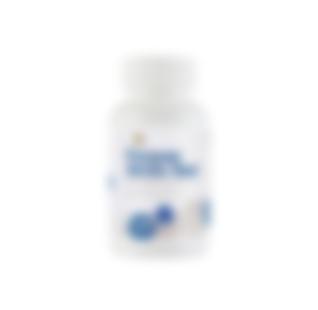 ფორევერ არქტიკული ზღვა